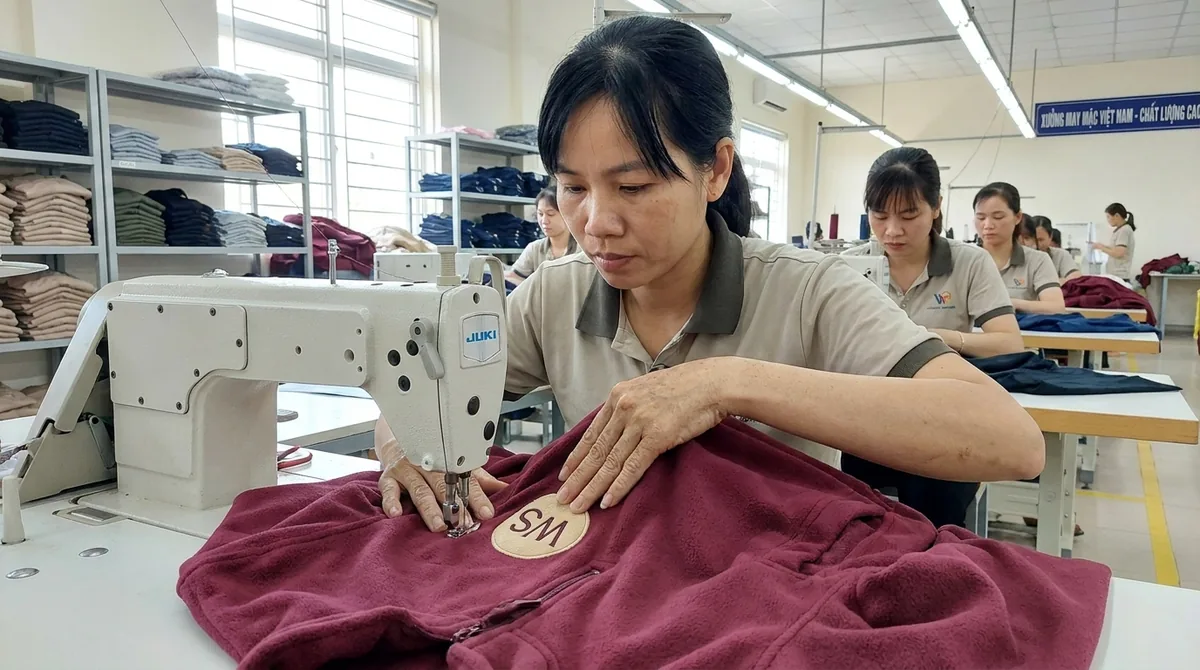 chuyên may áo thun cá sấu - 2
